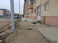 Imagine atasata: gelu,prez,sud,res-01.mai.2021-030.jpg